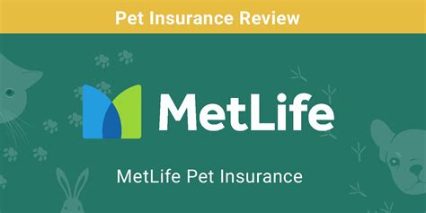 no waiting period pet insurance|metlife pet insurance no wait period.